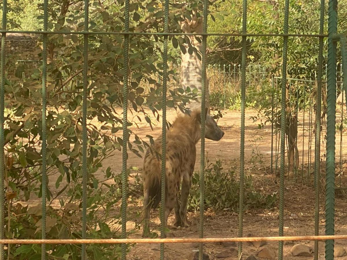 Auberge Africa Thiossane Saly Portudal Εξωτερικό φωτογραφία